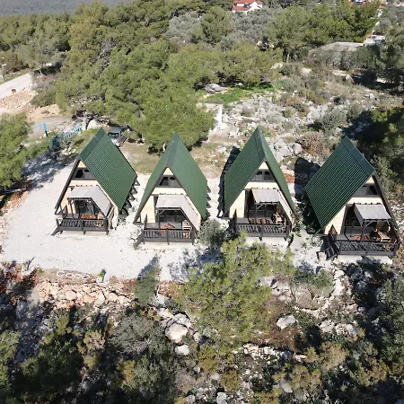 Patara 1 *