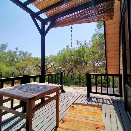 Patara 1