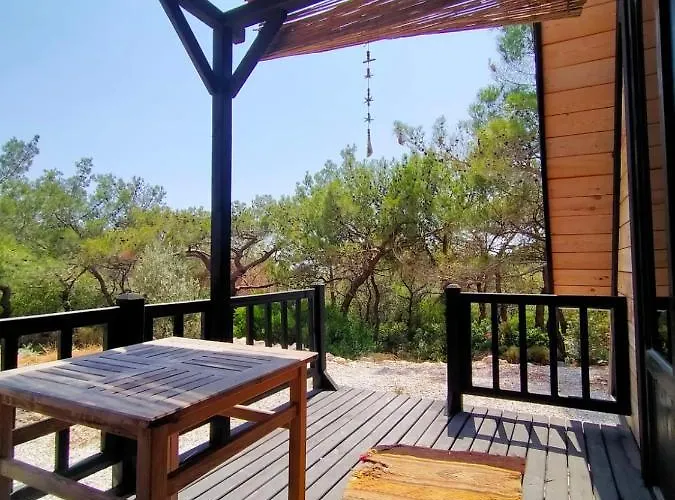 Patara 1